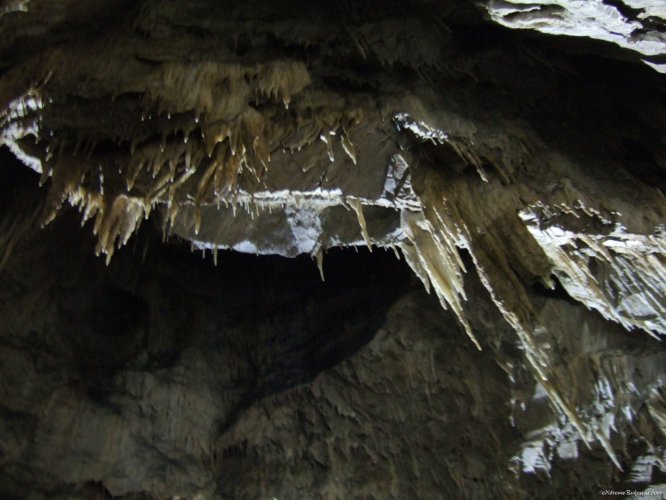 Caving forms