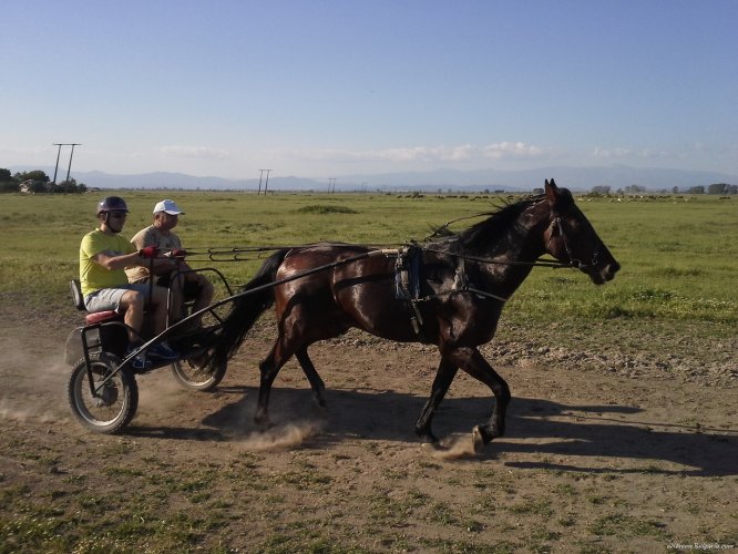 Horse riding