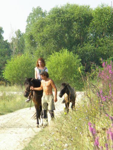Horse riding