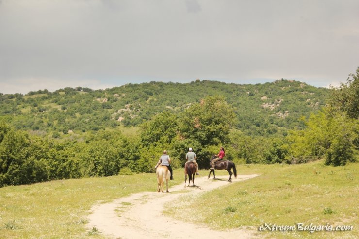 Horse riding