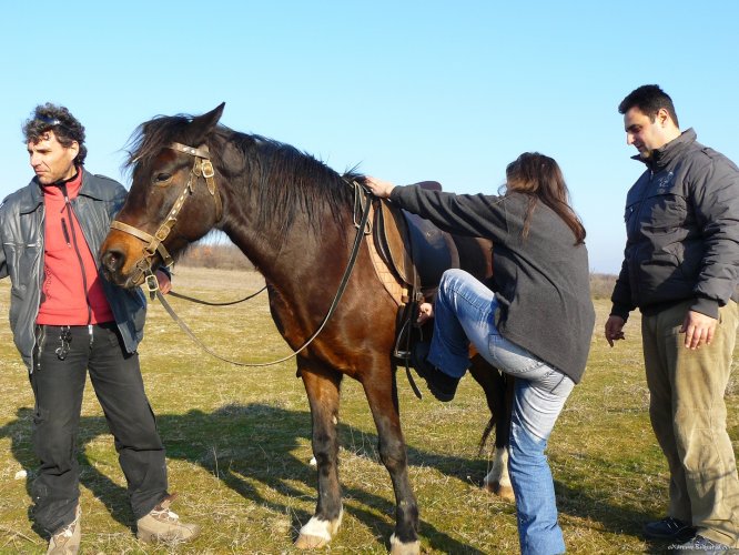 Horse riding