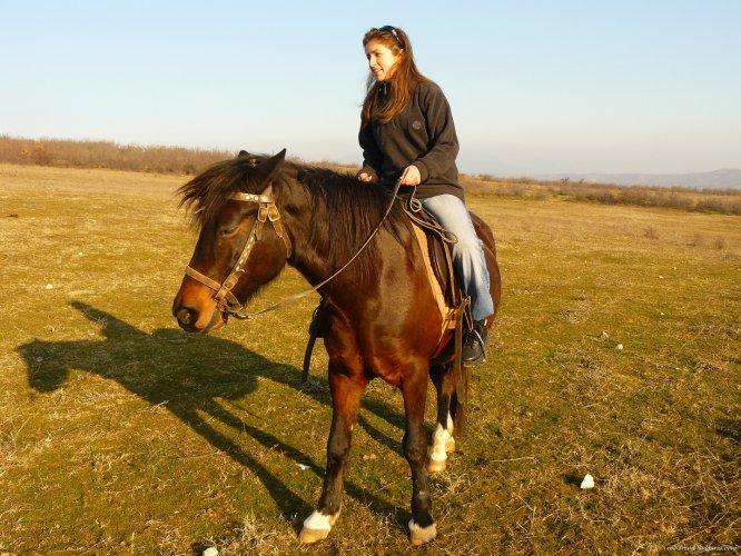 Horse riding