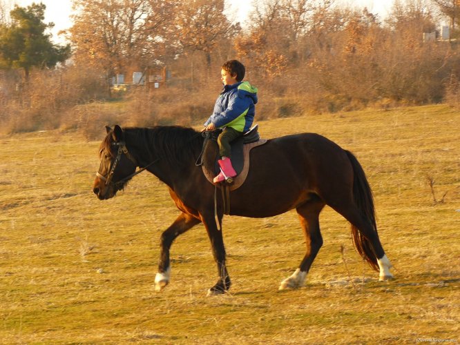 Horse riding