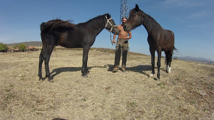 Horse riding