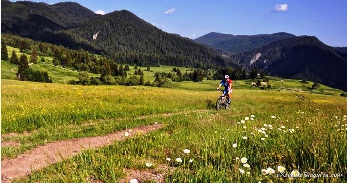 Mountain bike