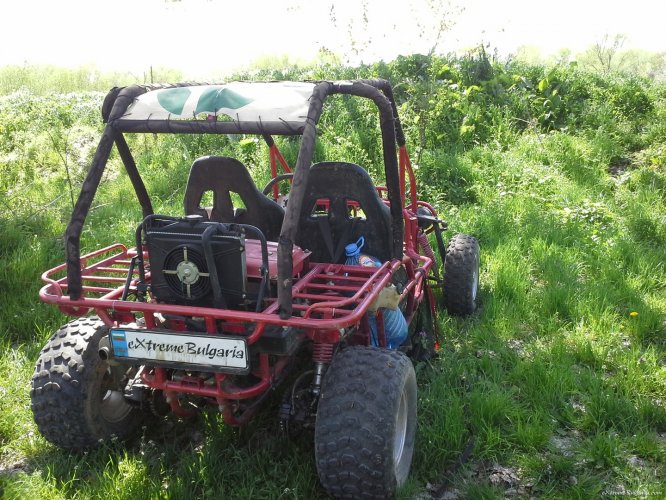 Buggy RAZOR