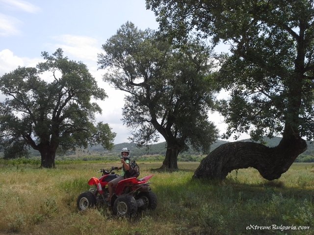 quad-bike