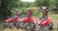 xbul-frend-0496.jpg