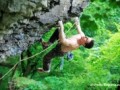 Rock Climbing In Bulgaria