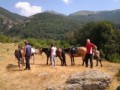 Horse riding