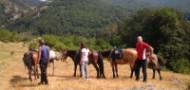 Horse riding