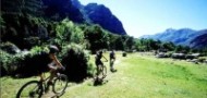 Mountain bike