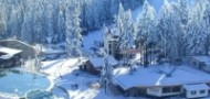 Skiing and snowboarding